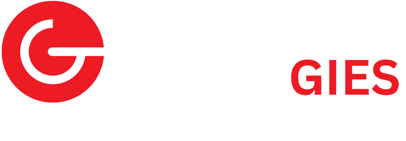 Gdn Synergies Private Limited